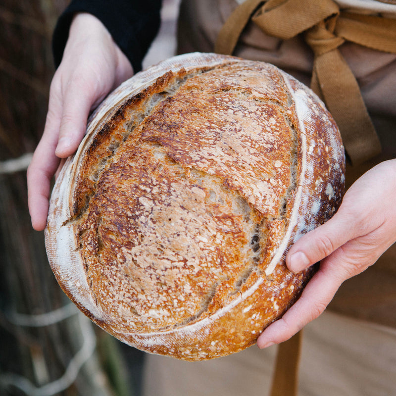 biologisch zuurdesembrood image