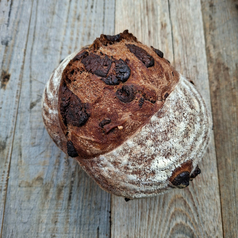 cacao chocoladebroodje