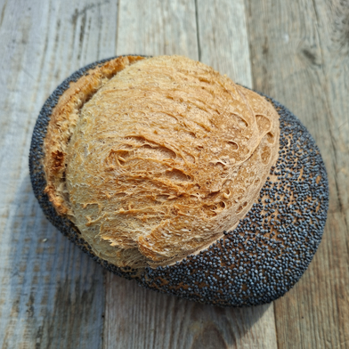 maanzaadbroodje